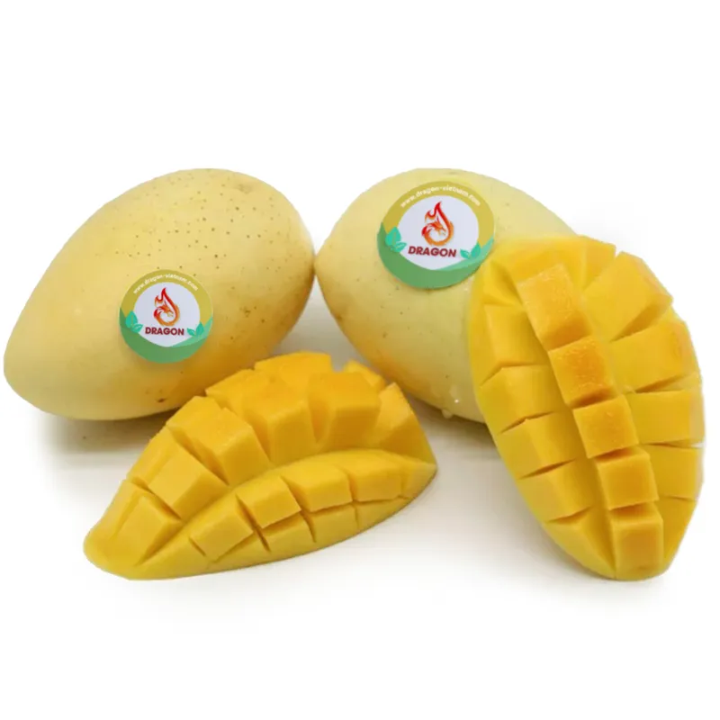 Sản phẩm 12AZC — Công Ty TNHH Đầu Tư Phát Triển Dragon Việt Nam — MST 0109790885