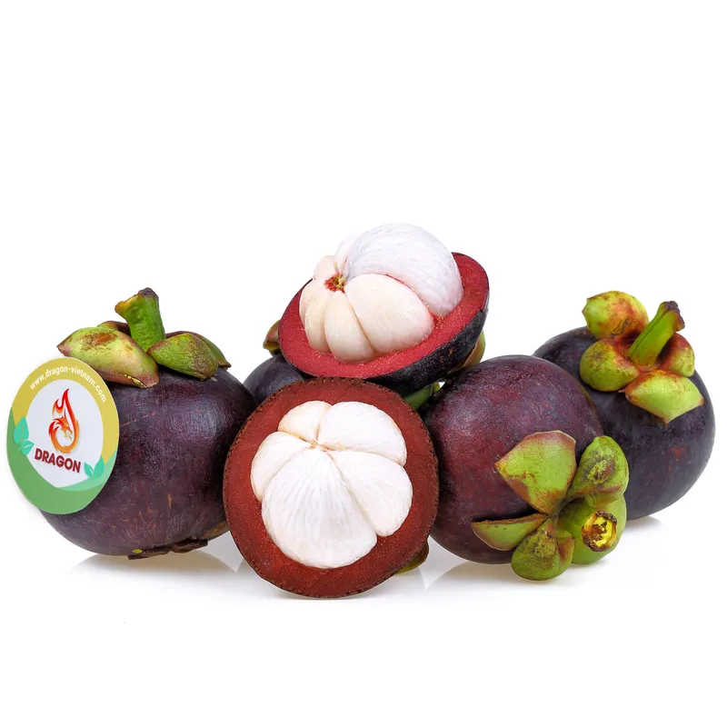 Sản phẩm XZAZA — Công Ty TNHH Đầu Tư Phát Triển Dragon Việt Nam — MST 0109790885