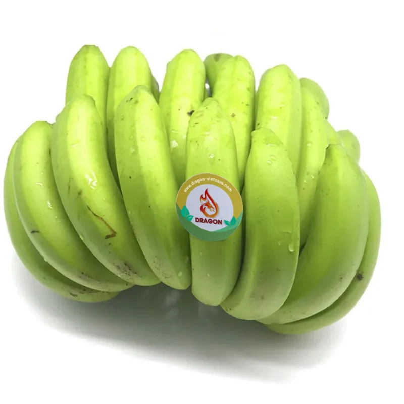 Sản phẩm ZXCVBVB — Công Ty TNHH Đầu Tư Phát Triển Dragon Việt Nam — MST 0109790885