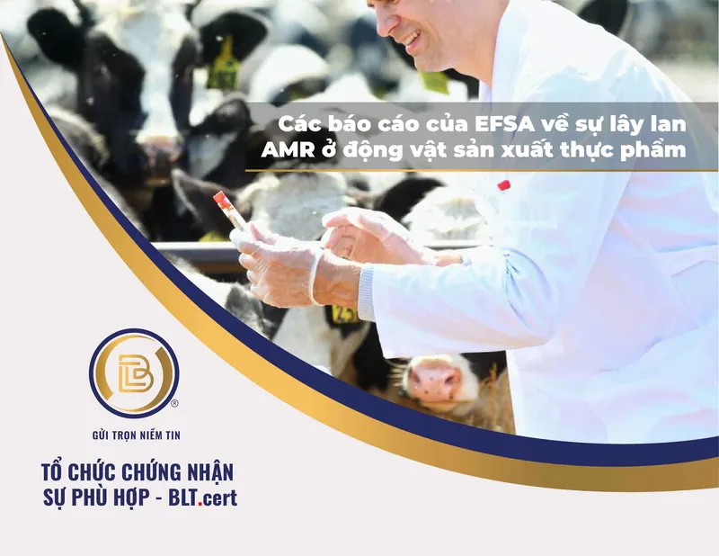 Sản phẩm article141 — Công Ty Cổ Phần Công Nghệ Bảo Lộc — MST 0109811567