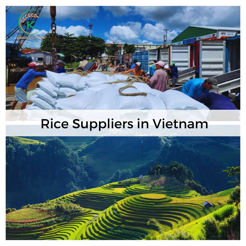 Sản phẩm 2.1 — Công Ty Cổ Phần Tập Đoàn K-Agriculture — MST 0109832119