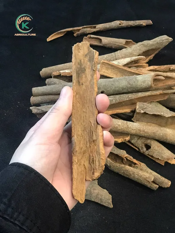 Sản phẩm 20220216 K AGRI BROKEN CASSIA 15 1 — Công Ty Cổ Phần Tập Đoàn K-Agriculture — MST 0109832119