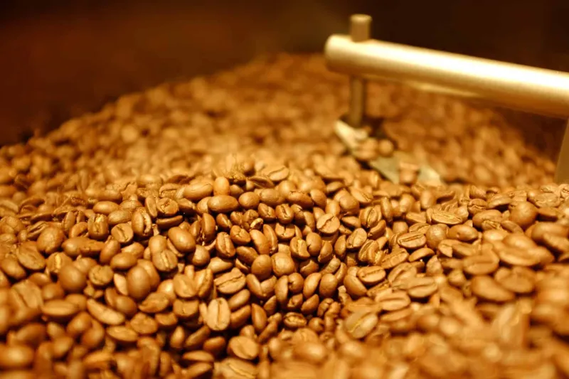 Sản phẩm 5.7 — Công Ty Cổ Phần Tập Đoàn K-Agriculture — MST 0109832119