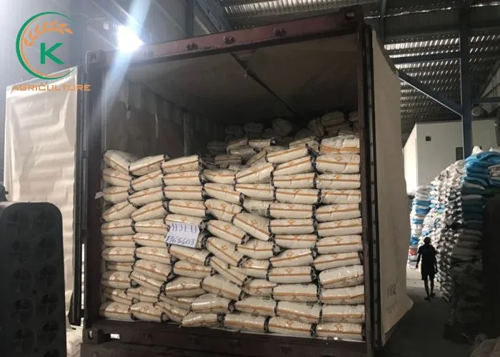 Sản phẩm Container of Japonica rice to the USA — Công Ty Cổ Phần Tập Đoàn K-Agriculture — MST 0109832119