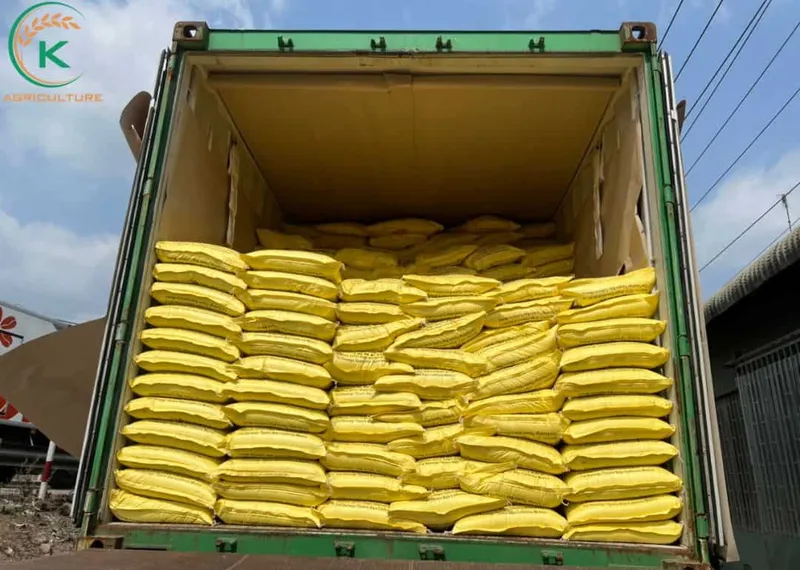 Sản phẩm export rice mexico.2 — Công Ty Cổ Phần Tập Đoàn K-Agriculture — MST 0109832119