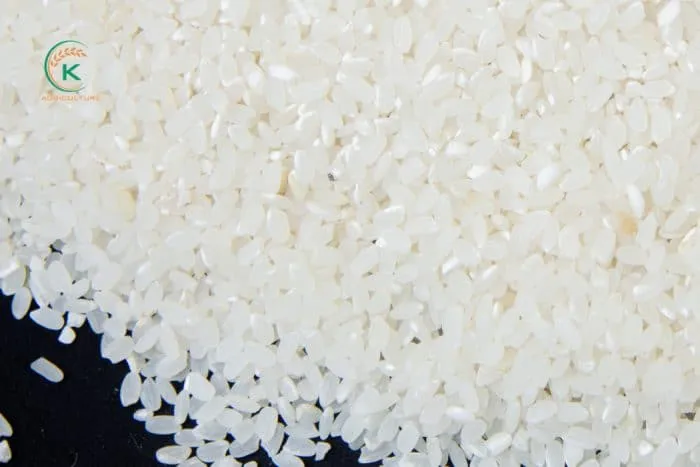 Sản phẩm japonica ava e1650213977360 — Công Ty Cổ Phần Tập Đoàn K-Agriculture — MST 0109832119