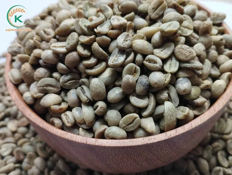 Sản phẩm K AGRI ARABICA S16 KHO 35 — Công Ty Cổ Phần Tập Đoàn K-Agriculture — MST 0109832119