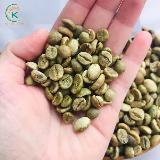 Sản phẩm K AGRI ROBUSTA S18 CLEAN 18 1 — Công Ty Cổ Phần Tập Đoàn K-Agriculture — MST 0109832119