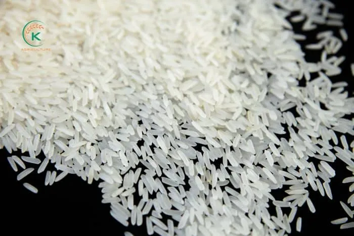 Sản phẩm K AGRI ST25 19 e1650251462524 — Công Ty Cổ Phần Tập Đoàn K-Agriculture — MST 0109832119