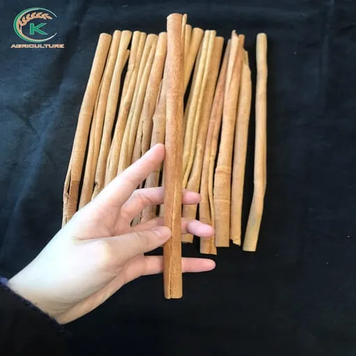 Sản phẩm K AGRI STICK CASSIA 26 1 1 — Công Ty Cổ Phần Tập Đoàn K-Agriculture — MST 0109832119