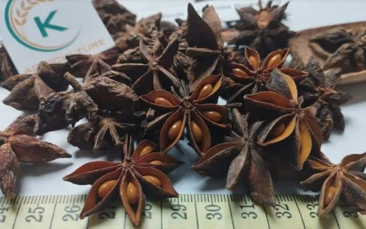 Sản phẩm Spring star anise 1 — Công Ty Cổ Phần Tập Đoàn K-Agriculture — MST 0109832119