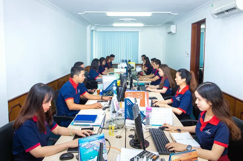 Sản phẩm khai bao hai quan — Vận Tải Alphatrans - Công Ty TNHH Vận Tải Alphatrans Hà Nội — MST 0109841258