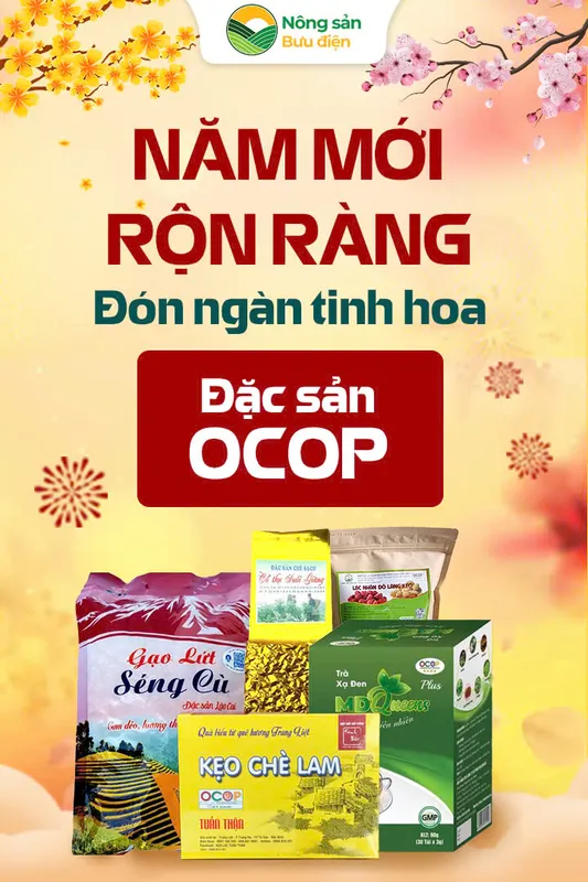 Sản phẩm f7e39c0e0c205184b26a66bc9eb72d523f23e937 — Công ty Logistics - Tổng công ty Bưu điện Việt Nam — MST 0109858420