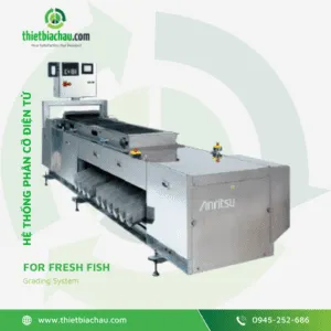Sản phẩm Grading System For Fresh Fish 300x300 — Bơm Chân Không á Châu - Công Ty TNHH Công Nghệ Thiết Bị á Châu — MST 0109870587