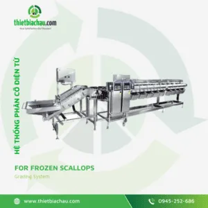 Sản phẩm Grading System for Frozen Scallops 300x300 — Bơm Chân Không á Châu - Công Ty TNHH Công Nghệ Thiết Bị á Châu — MST 0109870587