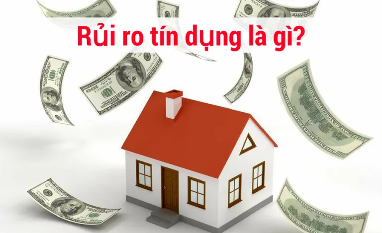 Sản phẩm mo hinh quan ly rui ro tin dung 768x469 — Công Ty TNHH Y Khoa Quốc Tế HTH — MST 0109909308