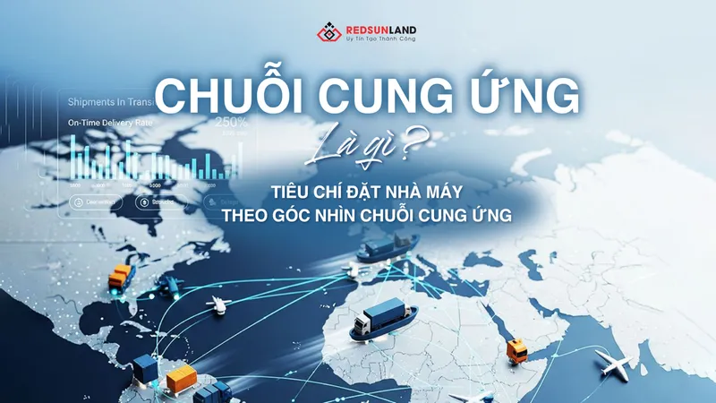 Sản phẩm chuoi cung ung rsl group 4 of 5 — Công Ty Cổ Phần Đầu Tư Redsunland — MST 0109914890