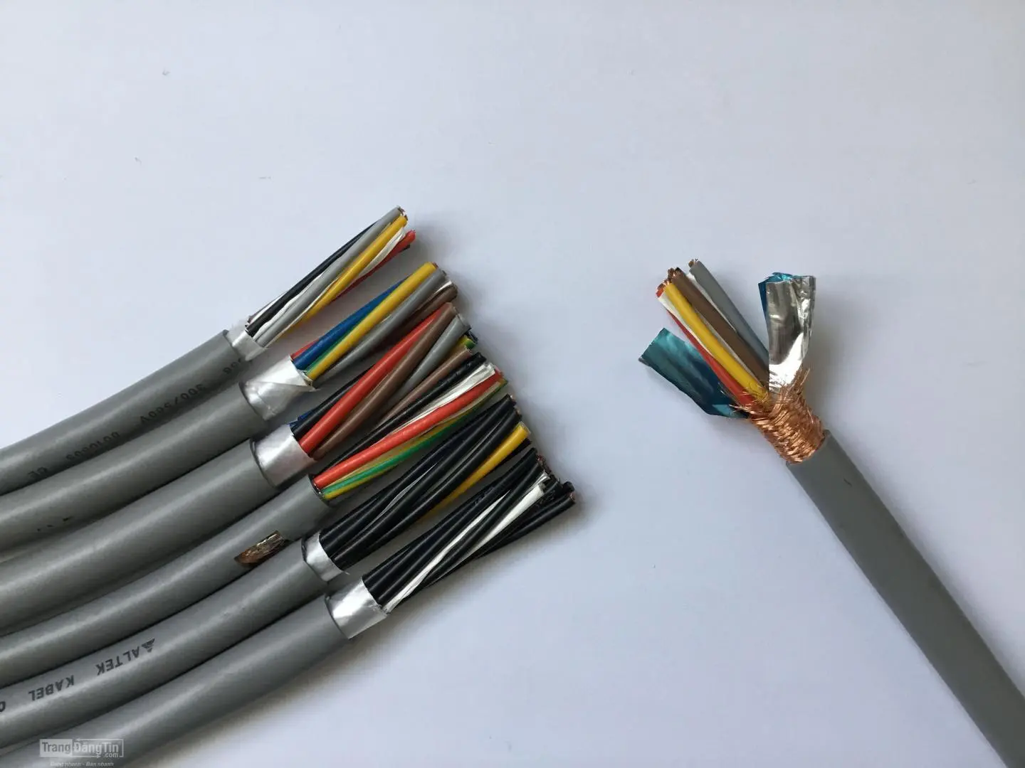 Sản phẩm cap dieu khien 7x1 5 hieu altek kabel_2961_anh1 — Dây Cáp Điện - Công Ty TNHH Thiết Bị Điện Hồng Hà — MST 0109921954