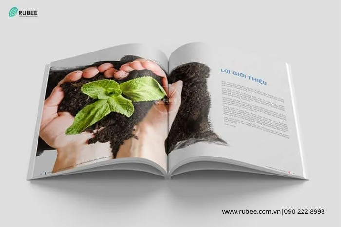 Sản phẩm Tai sao can thiet ke ho so nang luc 2 rubee.com_.vn  — Công Ty Cổ Phần Tư Vấn Giải Pháp Thương Hiệu Rubee Việt Nam — MST 0109930275