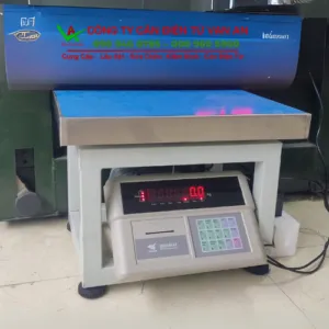 Sản phẩm Can ghe dien tu in phieu can 300kg  300x300 — Công Ty TNHH Giải Pháp Cân Điện Tử Vạn An — MST 0109962622