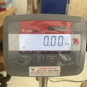 Sản phẩm Dau can T31P OHAUS 300x300 — Công Ty TNHH Giải Pháp Cân Điện Tử Vạn An — MST 0109962622
