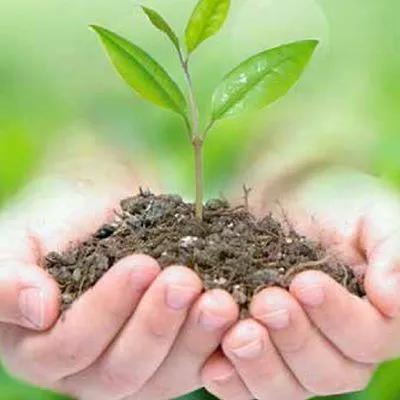 Sản phẩm 000000 — Công Ty TNHH Khoáng Sản Hachico Việt Nam — MST 0109974635
