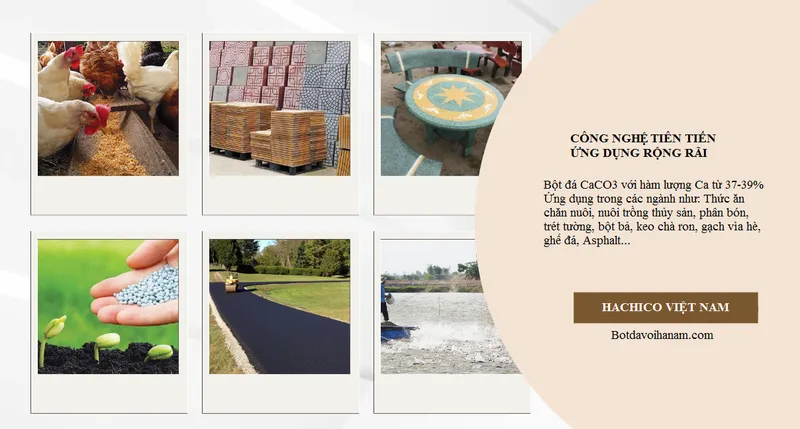 Sản phẩm b3 1 — Công Ty TNHH Khoáng Sản Hachico Việt Nam — MST 0109974635