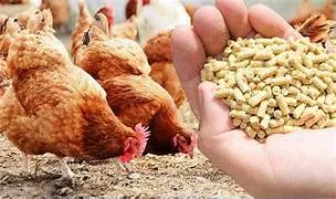 Sản phẩm OIP — Công Ty TNHH Khoáng Sản Hachico Việt Nam — MST 0109974635