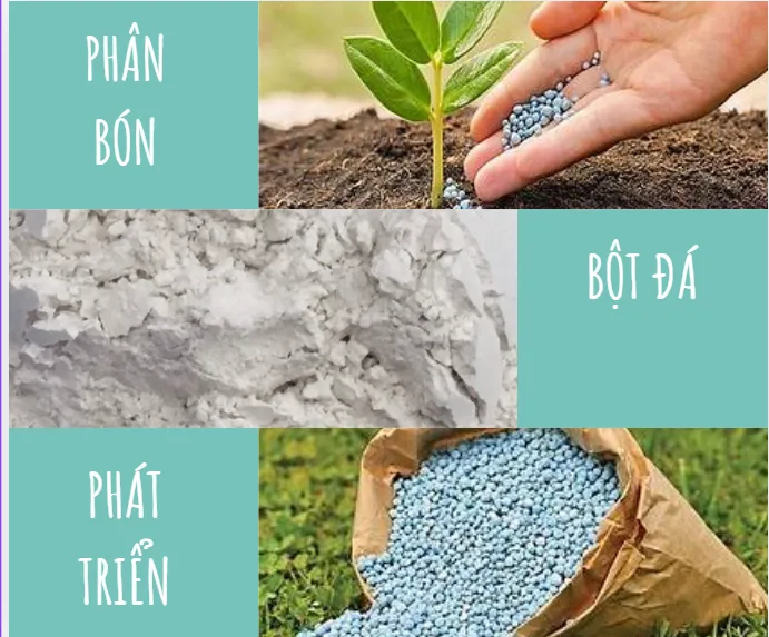 Sản phẩm Screenshot 2025 09 11 205207 — Công Ty TNHH Khoáng Sản Hachico Việt Nam — MST 0109974635