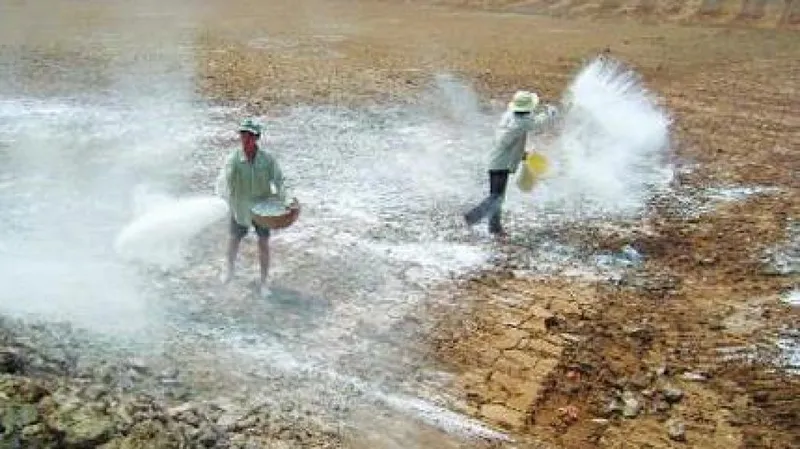 Sản phẩm tai sao nen giam do chua cho dat bang cach bon voi 315 — Công Ty TNHH Khoáng Sản Hachico Việt Nam — MST 0109974635