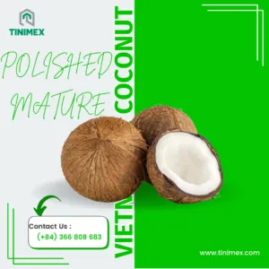 Sản phẩm 16 300x300 — Công Ty TNHH Tinimex — MST 0110001327