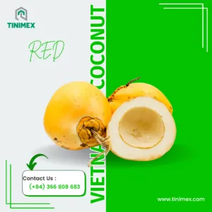 Sản phẩm 7 300x300 — Công Ty TNHH Tinimex — MST 0110001327