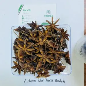 Sản phẩm AUTUMN STAR ANISE 300x300 — Công Ty TNHH Tinimex — MST 0110001327