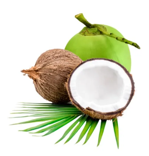 Sản phẩm fresh coconut — Công Ty TNHH Tinimex — MST 0110001327
