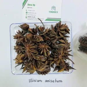 Sản phẩm IILICIUM ANISATUM 300x300 — Công Ty TNHH Tinimex — MST 0110001327