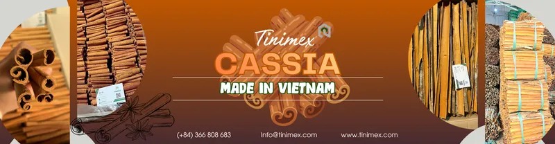 Sản phẩm Que — Công Ty TNHH Tinimex — MST 0110001327