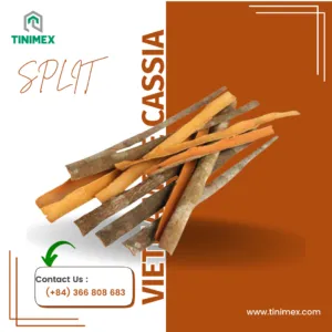 Sản phẩm Split cassia 300x300 — Công Ty TNHH Tinimex — MST 0110001327