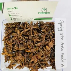 Sản phẩm SPRING STAR ANISE 300x300 — Công Ty TNHH Tinimex — MST 0110001327