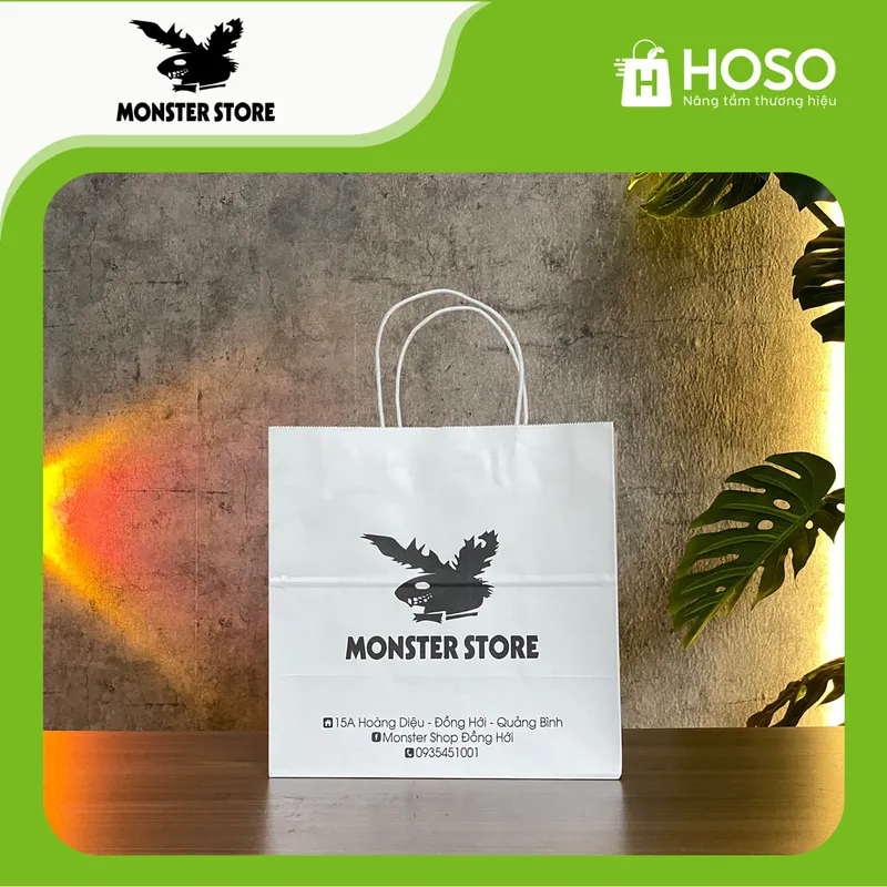 Sản phẩm Monter store — Túi Giấy Hoso - Công Ty TNHH Giải Pháp Bao Bì Hoso — MST 0110015947