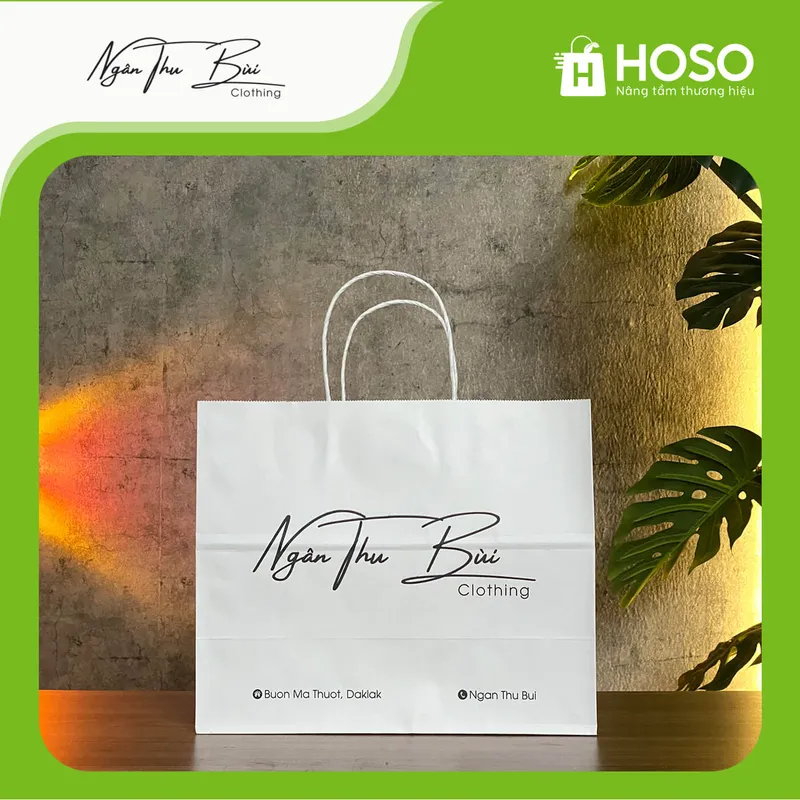 Sản phẩm NganThu Bui — Túi Giấy Hoso - Công Ty TNHH Giải Pháp Bao Bì Hoso — MST 0110015947