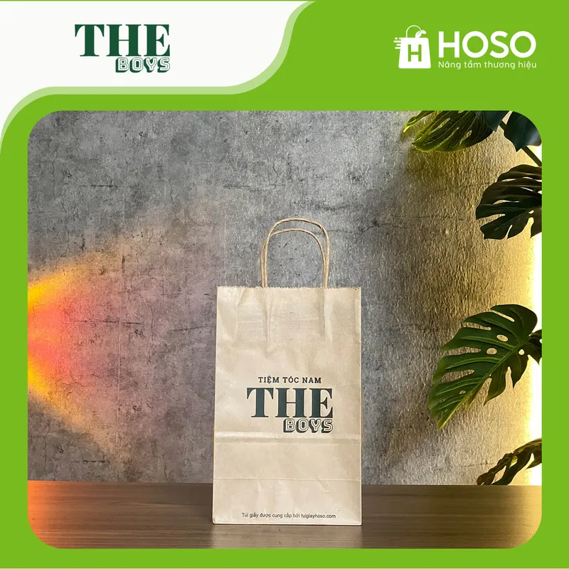 Sản phẩm Theboys — Túi Giấy Hoso - Công Ty TNHH Giải Pháp Bao Bì Hoso — MST 0110015947