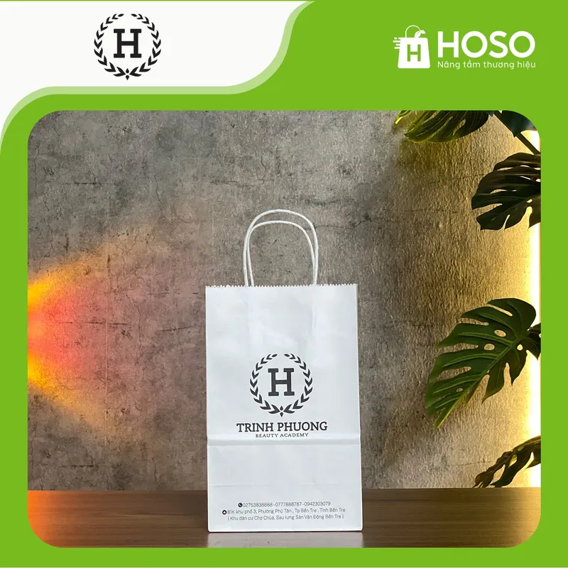 Sản phẩm TrinhPhuong — Túi Giấy Hoso - Công Ty TNHH Giải Pháp Bao Bì Hoso — MST 0110015947