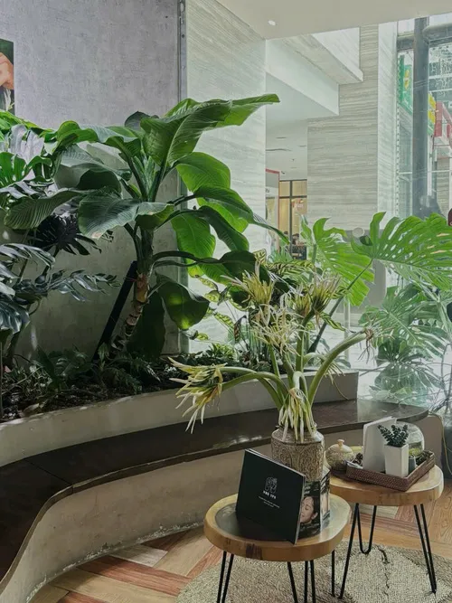 Sản phẩm khong gian nha spa 10 — Công Ty TNHH Thương Mại Và Dịch Vụ Nhà Spa — MST 0110017729