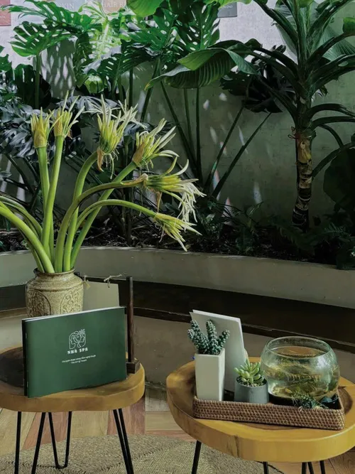 Sản phẩm khong gian nha spa 7 — Công Ty TNHH Thương Mại Và Dịch Vụ Nhà Spa — MST 0110017729