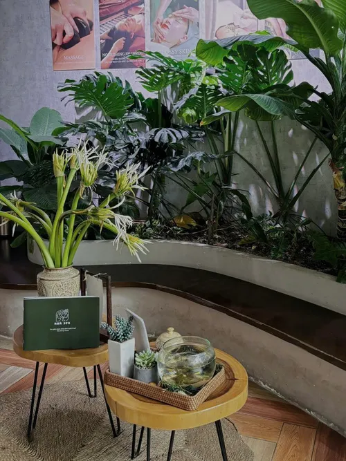 Sản phẩm khong gian nha spa 9 — Công Ty TNHH Thương Mại Và Dịch Vụ Nhà Spa — MST 0110017729