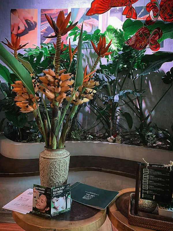 Sản phẩm trung thu nha spa 3 — Công Ty TNHH Thương Mại Và Dịch Vụ Nhà Spa — MST 0110017729