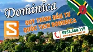 Sản phẩm quytrinh_dominica_small 300x169 — Công Ty Cổ Phần Bigsun Invest — MST 0110039560