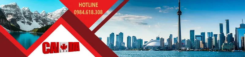 Sản phẩm 247canada — Công Ty Cổ Phần Bigsun Invest — MST 0110039560