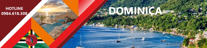 Sản phẩm dominica 247 — Công Ty Cổ Phần Bigsun Invest — MST 0110039560