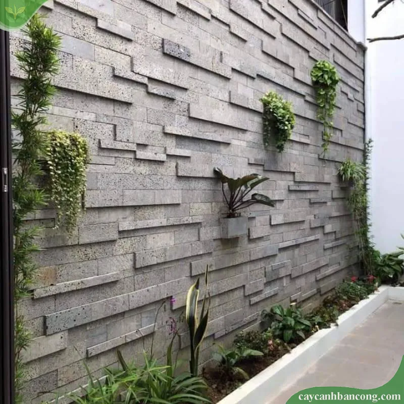 Sản phẩm tuong op da tu nhien 6 — Công Ty TNHH Cảnh Quan ViewGarden — MST 0110093790